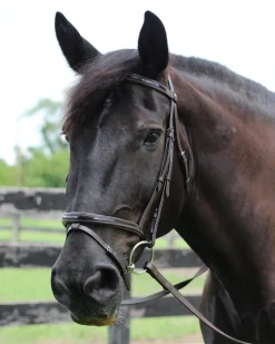 JPC EQUESTRIAN English Bridles|Henri de Rivel Piaffe Mono Crown Bridle with Flash Noseband & Patent Leather
