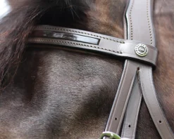 JPC EQUESTRIAN English Bridles|Henri de Rivel Piaffe Mono Crown Bridle with Flash Noseband & Patent Leather