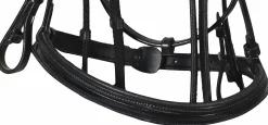 JPC EQUESTRIAN English Bridles|Henri de Rivel Piaffe Mono Crown Bridle with Flash Noseband & Patent Leather