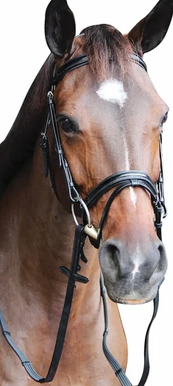 JPC EQUESTRIAN English Bridles|Henri de Rivel Piaffe Mono Crown Bridle with Flash Noseband & Patent Leather