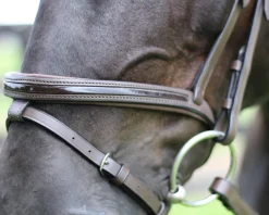 JPC EQUESTRIAN English Bridles|Henri de Rivel Piaffe Mono Crown Bridle with Flash Noseband & Patent Leather