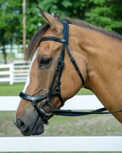 JPC EQUESTRIAN English Bridles|Henri de Rivel Pro Anatomical Bridle