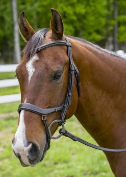 JPC EQUESTRIAN English Bridles|Henri de Rivel Pro Anatomical Bridle