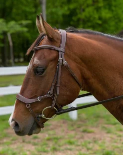 JPC EQUESTRIAN English Bridles|Henri de Rivel Pro Anatomical Bridle