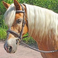 JPC EQUESTRIAN English Bridles|Henri de Rivel Pro Fancy Raised Comfort Crown Padded Bridle with Fancy Raised Reins