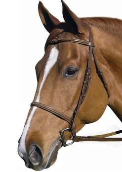JPC EQUESTRIAN English Bridles|Henri de Rivel Pro Fancy Raised Bridle with Laced Reins