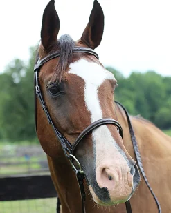 JPC EQUESTRIAN English Bridles|Henri de Rivel Pro Fancy Raised Bridle with Laced Reins