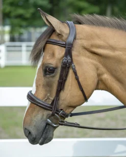 JPC EQUESTRIAN English Bridles|Henri de Rivel Pro Mono Crown Padded Wide Noseband Bridle