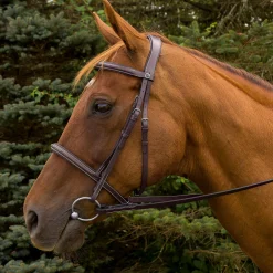 JPC EQUESTRIAN English Bridles|Henri de Rivel Pro Mono Crown Fancy-Stitched Padded Bridle with Laced Reins