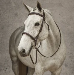 JPC EQUESTRIAN English Bridles|Henri de Rivel Pro Mono Crown Fancy-Stitched Padded Bridle with Laced Reins