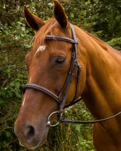 JPC EQUESTRIAN English Bridles|Henri de Rivel Pro Mono Crown Fancy-Stitched Padded Bridle with Laced Reins