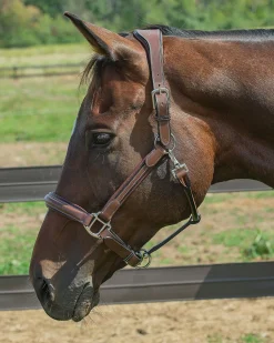 JPC EQUESTRIAN Halters|Henri de Rivel Stress Free Halter with Fancy Contrast Stitching