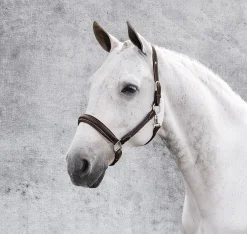 JPC EQUESTRIAN Halters|Henri de Rivel Stress Free Halter with Fancy Contrast Stitching