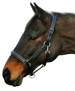 JPC EQUESTRIAN Halters|Henri de Rivel Stress Free Halter with Fancy Contrast Stitching