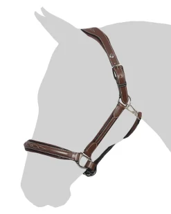 JPC EQUESTRIAN Halters|Henri de Rivel Stress Free Halter with Fancy Contrast Stitching