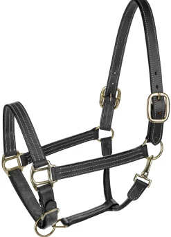 JPC EQUESTRIAN Halters|Henri de Rivel Triple-Stitched Halter