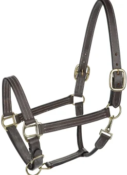 JPC EQUESTRIAN Halters|Henri de Rivel Triple-Stitched Halter