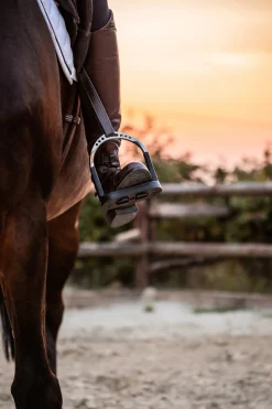 GEM-HERM SPRENGER Stirrup Irons|Herm Sprenger® Flexcite Stirrups