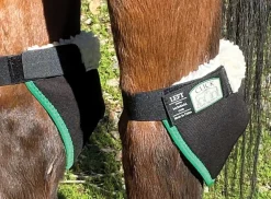 CLICK HORSE PRODUCTS Therapy|Hoof & Hock Boots|Hock Shield