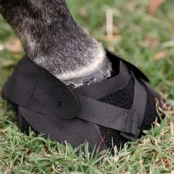 MACKINNON Therapy|Hoof & Hock Boots|Hoof Wraps™ Bandage