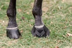 MACKINNON Therapy|Hoof & Hock Boots|Hoof Wraps™ Bandage