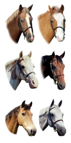 Kids KELLEY AND COMPANY Gifts|Home Décor|Horse Stickers