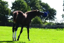 HORSEMEN S PRIDE Horse Toys|Horsemen's Pride™ Jolly Ball®