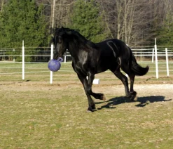 HORSEMEN S PRIDE Horse Toys|Horsemen's Pride™ Jolly Ball®