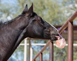 ANIMAL HEALTH INT Salt Licks & Holders|Horsemen’s Pride™ Jolly Salt Snack, 2.2 Pounds