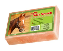 ANIMAL HEALTH INT Salt Licks & Holders|Horsemen’s Pride™ Jolly Salt Snack Brick