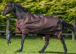 HORSEWARE Turnout Blankets|® Amigo® Hero 900 Lite Net Lined Turnout with Disc Front