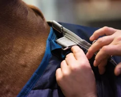 HORSEWARE Blanket Liners|® Ireland 300 Gram Blanket Liner