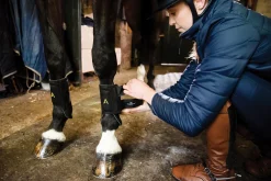 HORSEWARE Horse Boots|® Ireland Adagio Boots