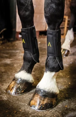 HORSEWARE Horse Boots|® Ireland Adagio Boots