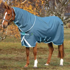 HORSEWARE Turnout Blankets|® Ireland Amigo® AmEco 12 Plus Medium-Weight Turnout Blanket