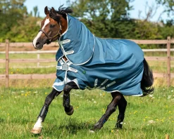 HORSEWARE Turnout Blankets|® Ireland Amigo® AmEco 12 Plus Lightweight Turnout Blanket