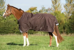 HORSEWARE Turnout Blankets|® Ireland Amigo® Bravo 12 Heavyweight Turnout Blanket