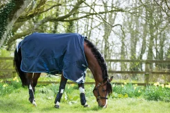 HORSEWARE Turnout Blankets|® Ireland Amigo® Bravo 12 Heavyweight Turnout Blanket