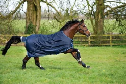 HORSEWARE Turnout Blankets|® Ireland Amigo® Bravo 12 Heavyweight Turnout Blanket