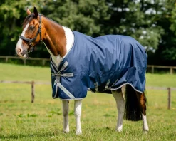 HORSEWARE Turnout Blankets|® Ireland Amigo® 1200D Turnout Standard Neck