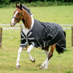 HORSEWARE Turnout Sheets|® Ireland Amigo® 1200D Turnout Sheet Standard Neck