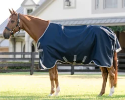 HORSEWARE Turnout Sheets|® Ireland Amigo® 1200D Turnout Sheet Standard Neck