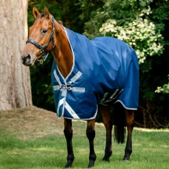 HORSEWARE Turnout Sheets|® Ireland Amigo® 1200D Wug Turnout Sheet