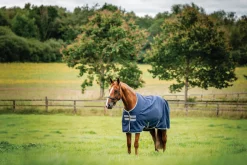 HORSEWARE Turnout Sheets|® Ireland Amigo® 900D Ripstop 0 Gram Turnout Sheet