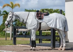 HORSEWARE Fly Control|Fly Sheets|® Ireland Amigo® Flyrider