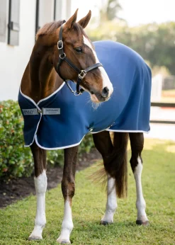 HORSEWARE Horse Coolers|® Ireland Amigo® Jersey Cooler - Pony