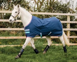 HORSEWARE Turnout Blankets|® Ireland Amigo® Pony Hero 900D Medium-Weight Turnout Blanket