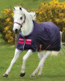 HORSEWARE Turnout Sheets|® Ireland Amigo® Pony Hero 900D Lite Turnout Sheet