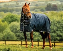 HORSEWARE Turnout Blankets|® Ireland Amigo® Ripstop 900D 200 Grams Plus Pony Turnout