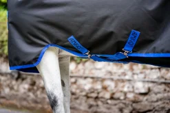 HORSEWARE Turnout Sheets|® Ireland Amigo® Ripstop 900D Standard Neck Pony Turnout Sheet